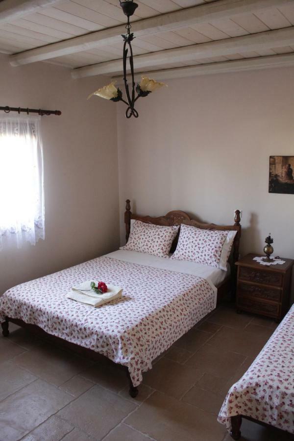 *Villa Pap-Live The Greek Hospitality In A Village* Nea Sampsounta エクステリア 写真