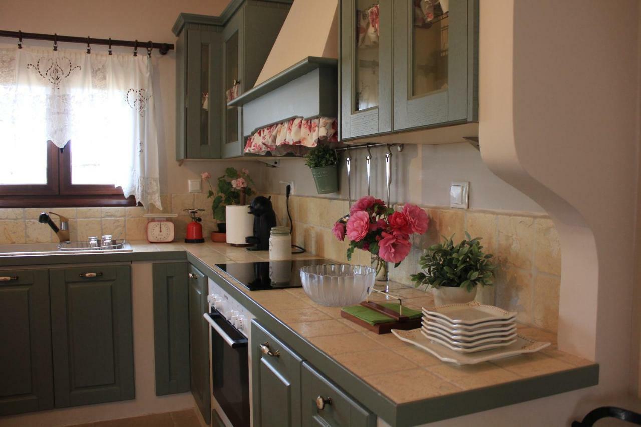*Villa Pap-Live The Greek Hospitality In A Village* Nea Sampsounta エクステリア 写真