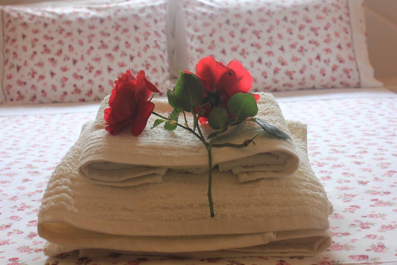 *Villa Pap-Live The Greek Hospitality In A Village* Nea Sampsounta エクステリア 写真